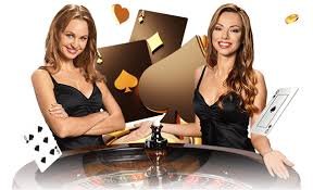 8bol Live Casino